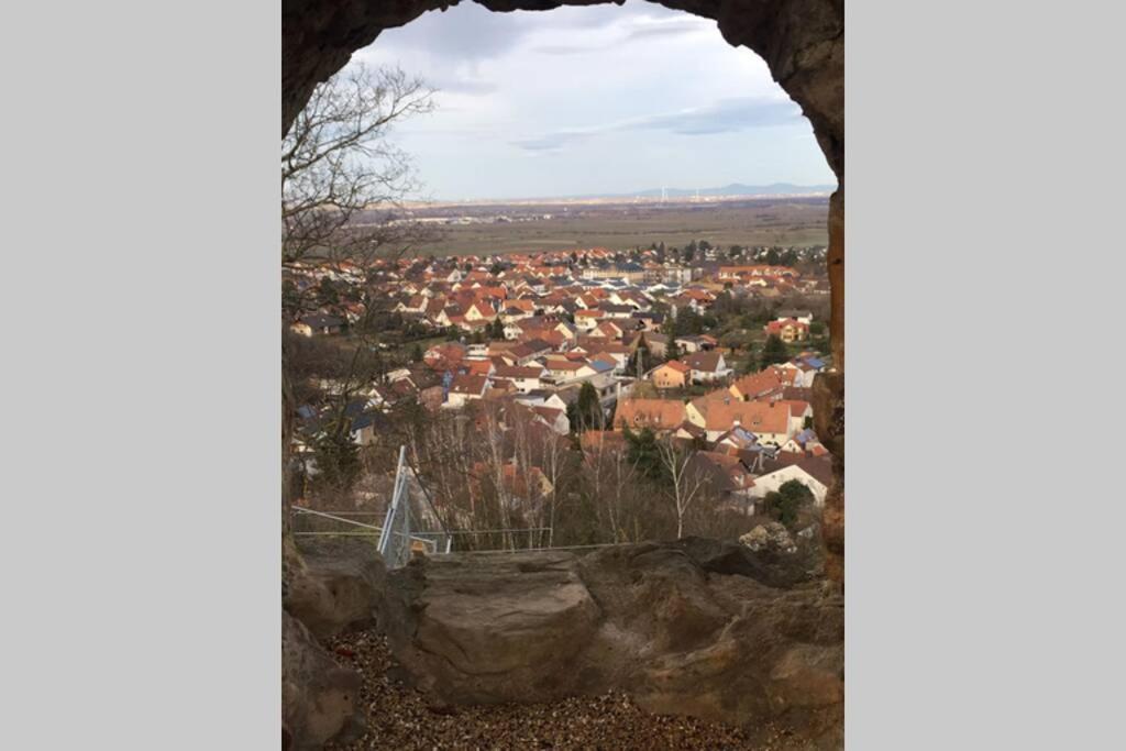 Neustadt an der Weinstraße Wunderschoene Wohnung Mit Blick Auf Die Weinberge מראה חיצוני תמונה